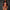 Nyx Bottoms - Manhunt - Red - LIMITED ED.