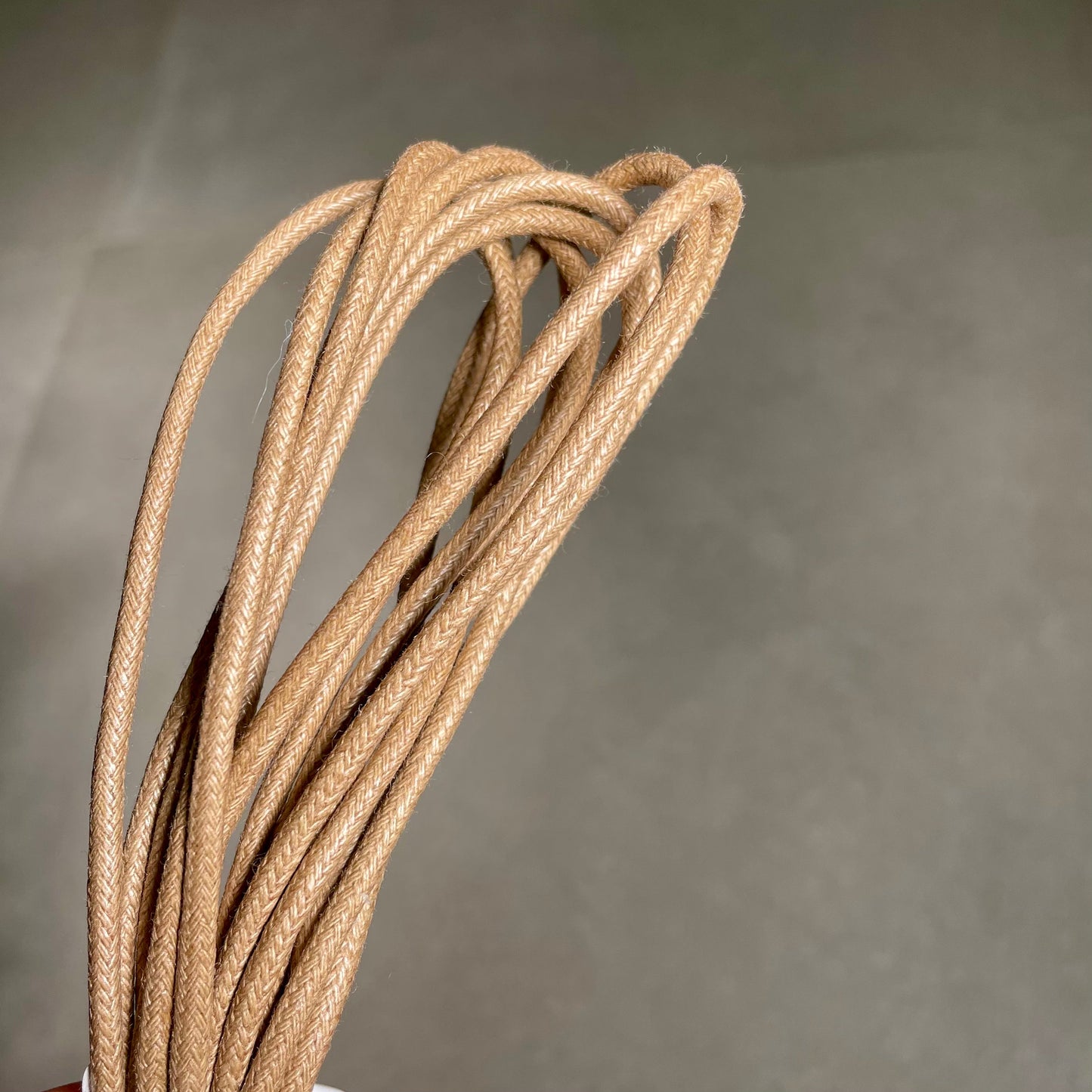 Shoe Lace - OH HONEY