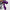 The Glitterati Xtra - Wide Fit Boot - ENIGMA PURPLE - 8INCH