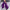 The Glitterati Xtra - Wide Fit Boot - ENIGMA PURPLE - 8INCH
