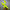 The Glitterati - Citrus Yellow Burst Over Knee Open Toe Boot - 8INCH - New Style - Check description