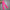 The Glitterati - Juicy Pink Burst Over Knee Boot - 8INCH - New Style - Check description