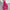 Dancing Dollar$ Boot - FKU Payme Hot Pink - 7 INCH